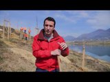Veliaj: Paratë e parkimit me SMS shkojnë për gjelbërimin - Top Channel Albania - News - Lajme