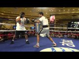Lucas Matthysse Looking Beast On Mitts