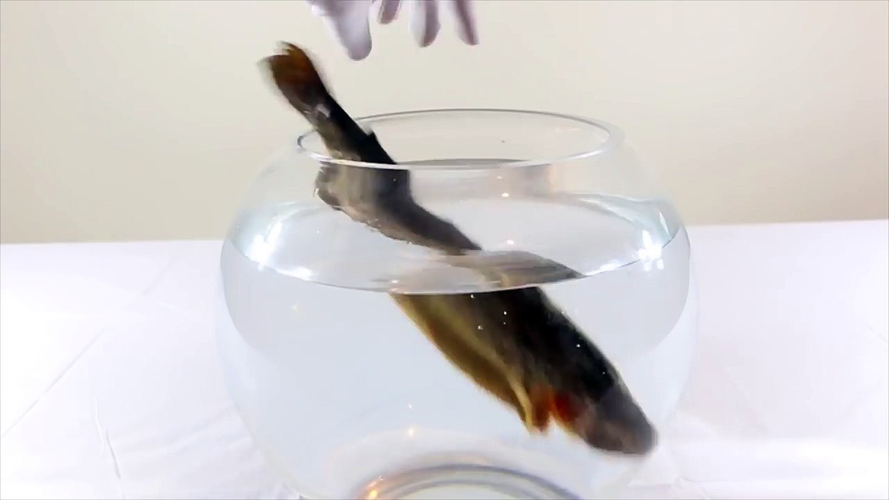 How To Make Something Disappear