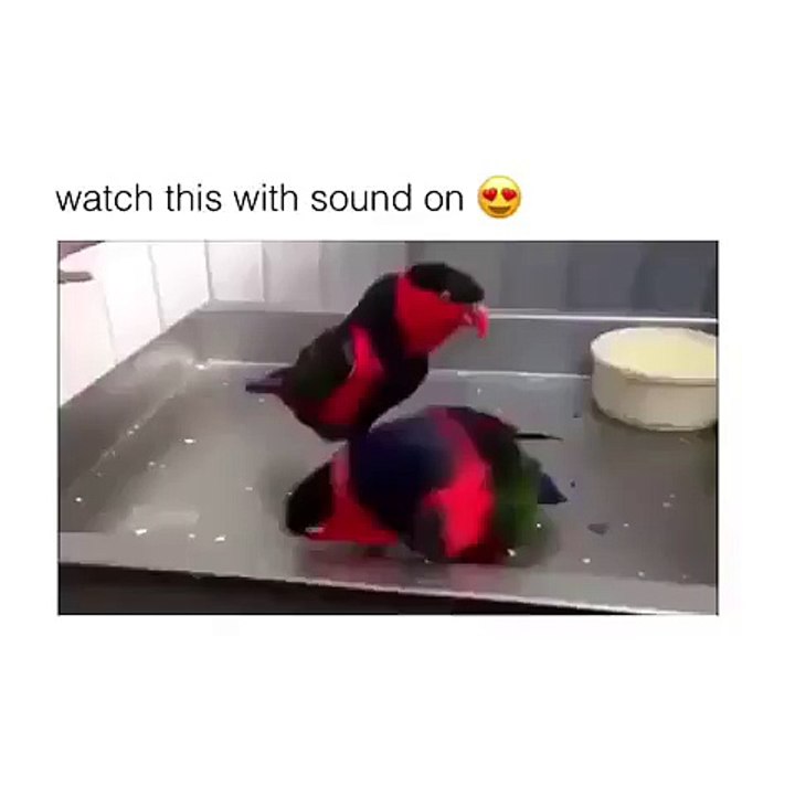 Watch This With Sound On 