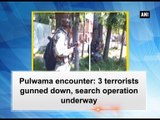 Pulwama encounter: 3 terrorists gunned down, search operation underway