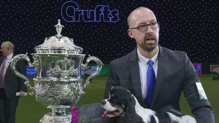 Angli, një garë historike qensh - Top Channel Albania - News - Lajme