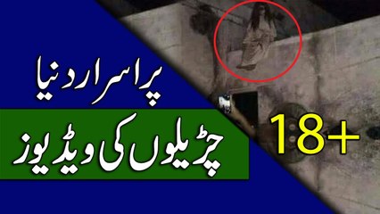 Reality of Ghost in Urdu - Churail Ki Haqeeqat