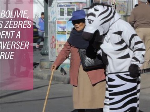 Comment les 'zèbres' sauvent des vies à La Paz