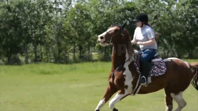 Next - Crazy - Çmenduritë e ditës - 15 Mars 2017 - Show - Vizion Plus