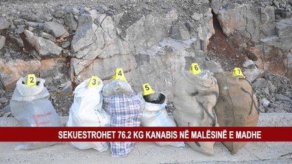 SEKUESTROHET 76.2 KG KANABIS NË MALËSINË E MADHE