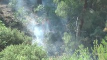 Sarayköy'deki Orman Yangınını Söndürme Çalışmaları Sürüyor