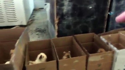 Otobüse Gizlenmiş Halde Bulundular