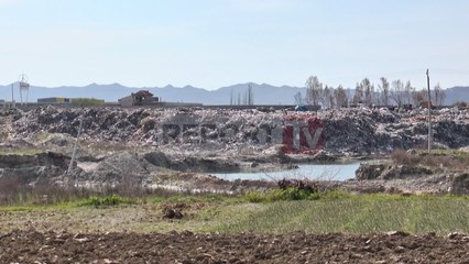 Report TV - Bashkia Kamëz, 16 vjet masakër  mjedisore në lumin Tërkuzë