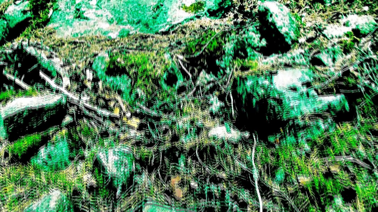 June 29 2017 2