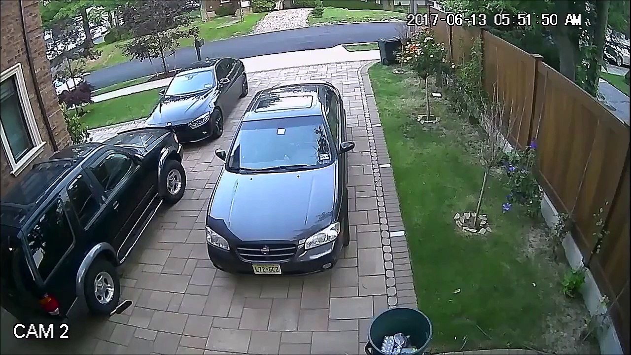 Quand une biche traverse ta cour en sautant comme une tarée