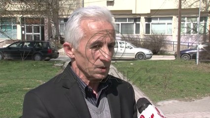 Кичево, граѓаните бараат итно преземање мерки за кучињата-скитници
