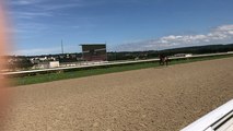 Canters à l'hippodrome de la Touques