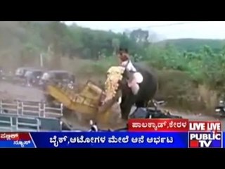 Elephant Goes Crazy, Two Mahots Severely Injured