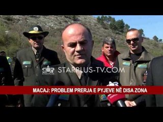 DITA NDËRKOMBËTARE E PYJEVE