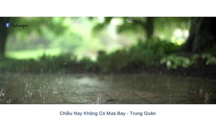 MƯA ‣ Những bài hát hay nhất về MƯA