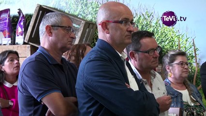 Normandie Noix Villedieu (50)