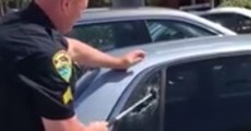 Florida Police Rescue Pit Bull Left in Hot Car