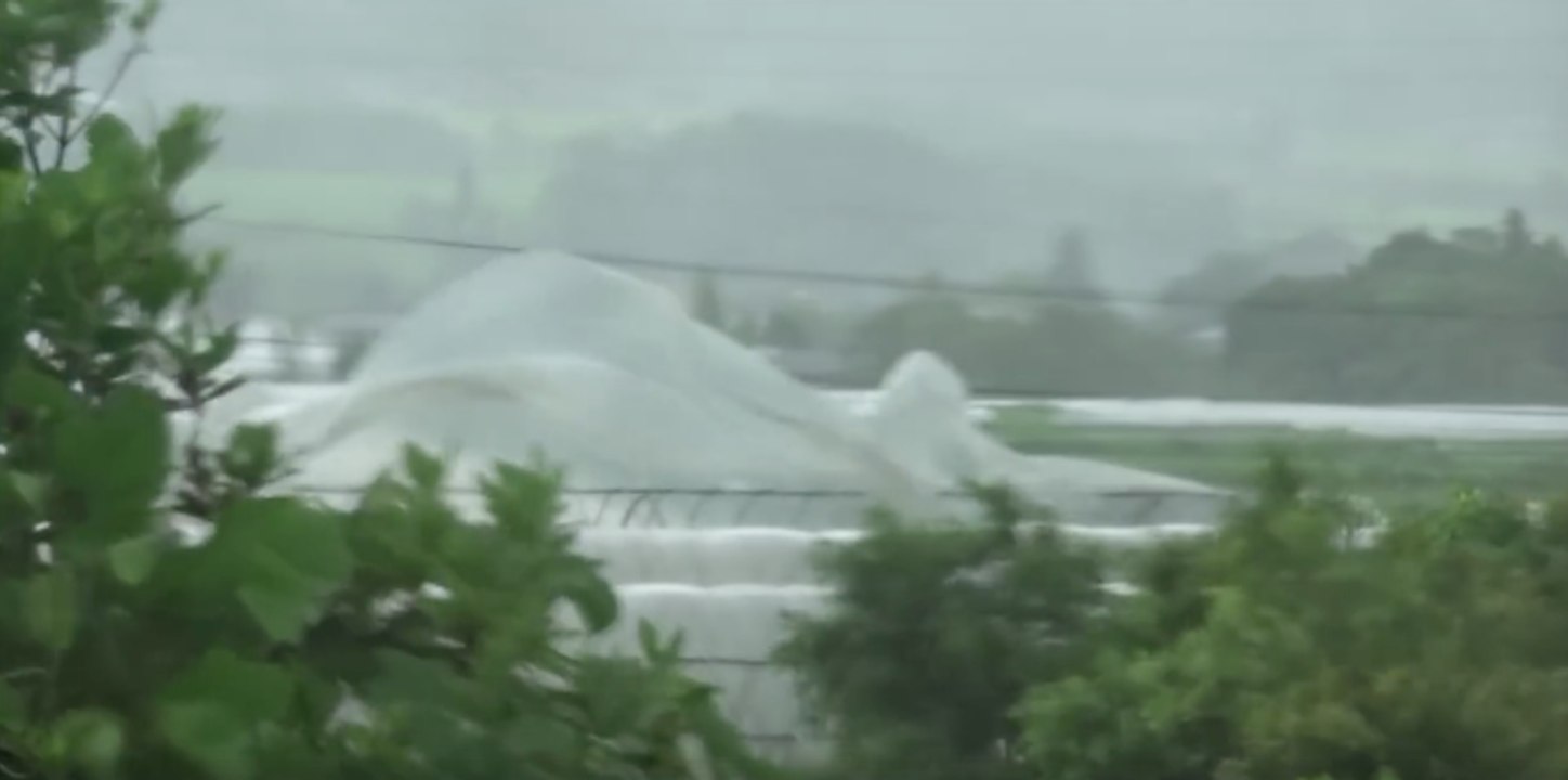 Heavy Wind From Typhoon Nanmadol Causes Damage in Japan