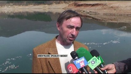 Ngordhin peshqit në Fierzë - Top Channel Albania - News - Lajme