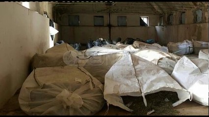 Ora News – Zbulohet 1 ton hashash në një magazinë në Berat