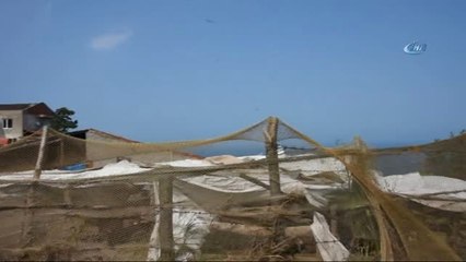 Sinop'ta Şiddetli Rüzgar Maddi Zararlara Yol Açtı