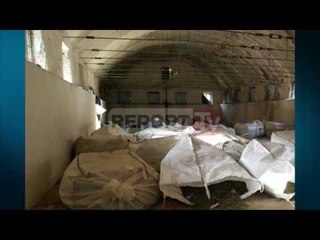 Report TV - Berat, zbulohet laboratori me 1.2 ton kanabis në Lapajn