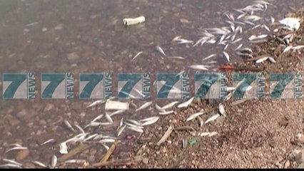 DETAJE PER PESHKUN E NGORDHUR NE LIQENIN E FIERZES NE KUKES - News, Lajme - Kanali 8