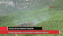 Antalya'da orman yangını