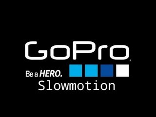 ''Sharky'' shark | Slowmotion| GoPro Hero