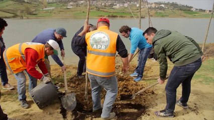 Report TV - Mbillen 500 pemë në Kashar, Veliaj: Ejani nesër të pastrojmë Tiranën