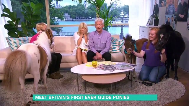 Un poney qui fait caca en direct sur la télé !! LOL