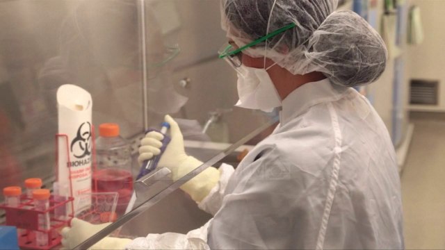 Fruthi, alarm i OBSH-së për Europën - Top Channel Albania - News - Lajme