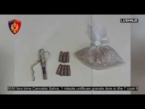 Ora News - Operacioni Koria - Lushnjari kapet në banesë me 1.3 kg kanabis dhe 8550 fara