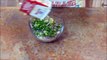 Ser fácil para dejar almuerzo O Oro receta recetas rodar verduras envolturas Kathi frankie aperitivos, desayuno s fo