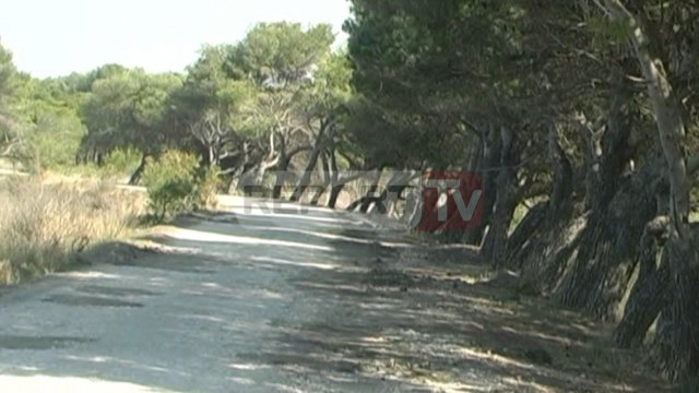 Report TV - Fier, rruga e plazhit të Semanit e dëmtuar,problem dhe papastërtia
