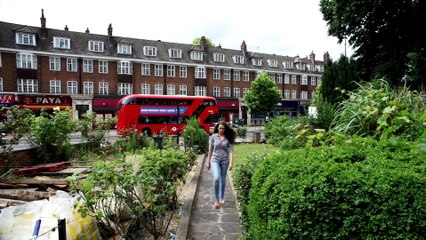 Unhinged: The Babysitter Sketch