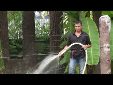 Голема жештина во Бангкок, зоолошката градина ги освежува животните