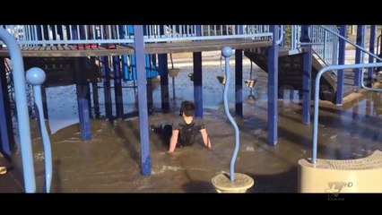 Next - Crazy - Çmenduritë e ditës - 3 Prill 2017 - Show - Vizion Plus