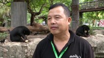 Vapa në Bangkok, kopshti zoologjik i freskon kafshët