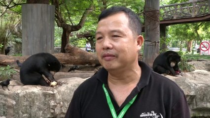Vapa në Bangkok, kopshti zoologjik i freskon kafshët