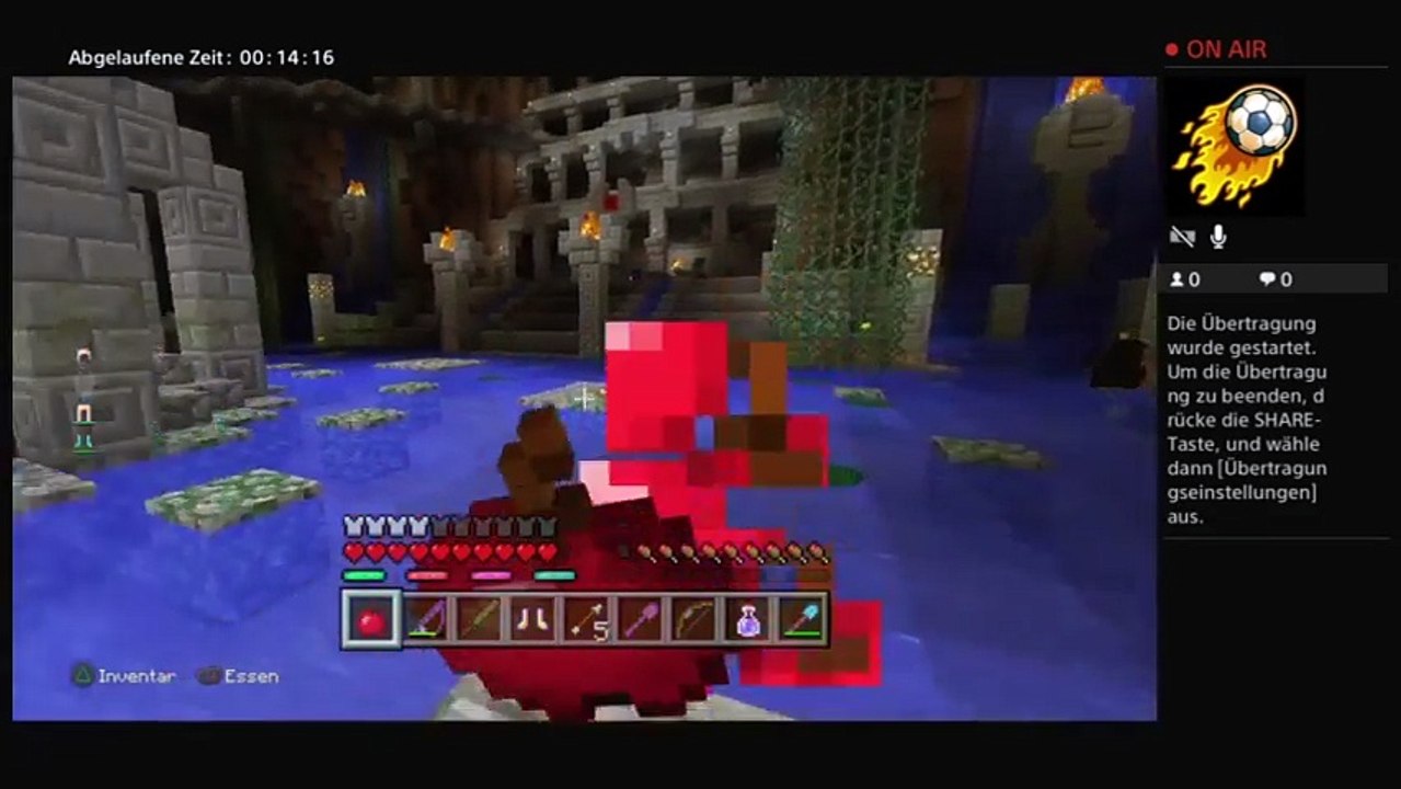 Paladins Deutsch mit freunden zocken (19)