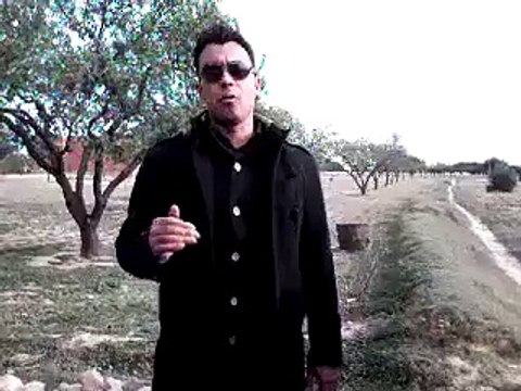 أقوى شعر تسمعو في حياتك علي السبسي