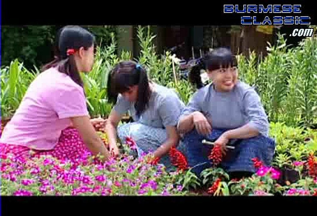 Starring Kyaw Yeon, Min Yar Zar, Nawayat June 27, 2017 (1)