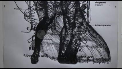 Ora News – Ekspozita ‘Fractured Body’ sjellë në Shqipëri 18 artistë amerikanë