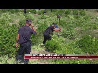 Ultimatum policive private për kanabisin - News, Lajme - Vizion Plus