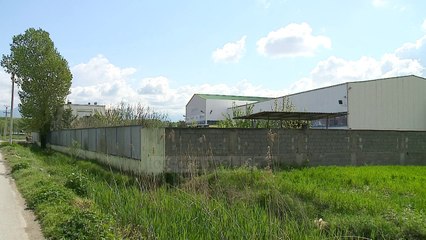 Tiranë, grabitet një firmë private - Top Channel Albania - News - Lajme