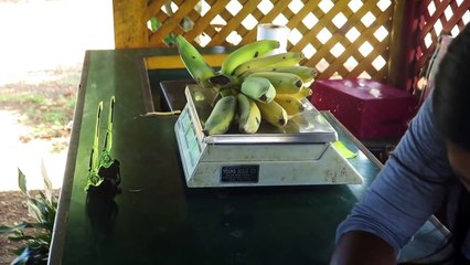 WHAT I EAT IN A DAY VLOG   KAUAI HAWAII SIMPLE MEALS