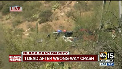 Wrong-way driver causes 6 different collisions, 1 person killed