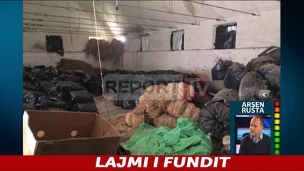 Report TV - 12 t kanabis në Përmet,në pranga 2 pronarët e depove e kryeplaku